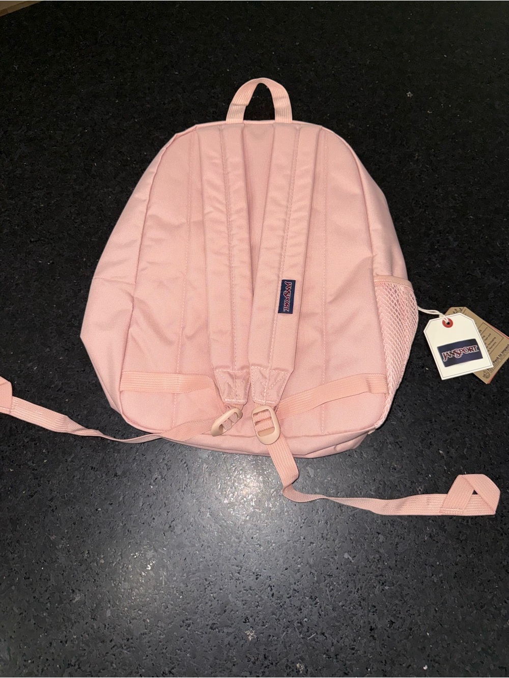 NEW JANSPORT TRANSPORT PACK MISTY ROSE BLUSH PINK 20 L Everyday Backpack NWT - Picture 4 of 10